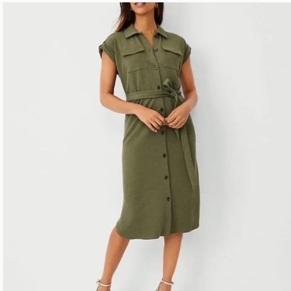 Ann Taylor Deess - MP